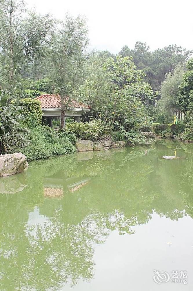 Grace Garden Hotel Qingyuan  Zewnętrze zdjęcie